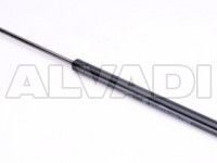 Renault Scenic 2003-2009 LUUGI/KAPOTI AMORT