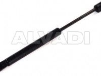 Renault Megane 2002-2009 LUUGI/KAPOTI AMORT