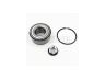Renault Clio 1998-2012 RATTA LAAGER
